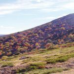 Enrique GarciÌa Bravo0